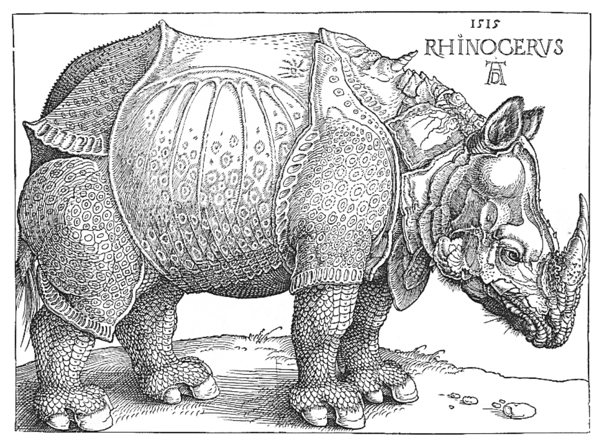 Image of a Rhinoceros